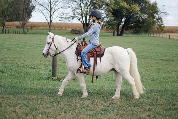 ridden-western-pony-welsh-pony
