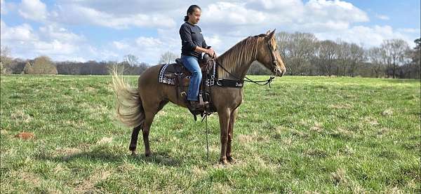 champagne-see-pictures-horse
