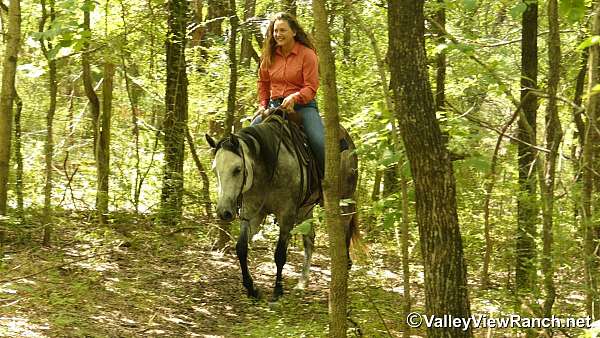 ranch-work-quarter-horse
