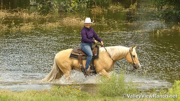calf-roping-paint-horse
