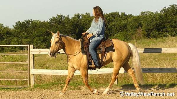 ranch-paint-horse