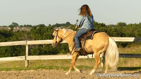ranch-versatility-paint-horse
