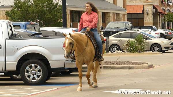 ranch-work-paint-horse