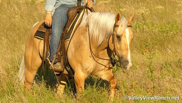 ridden-western-paint-horse