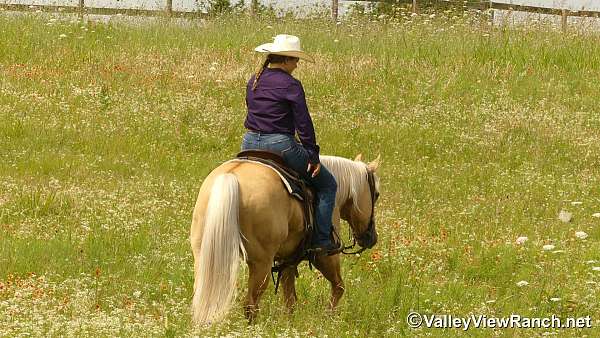 roping-paint-horse
