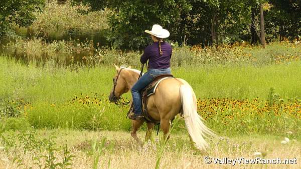 team-roping-paint-horse