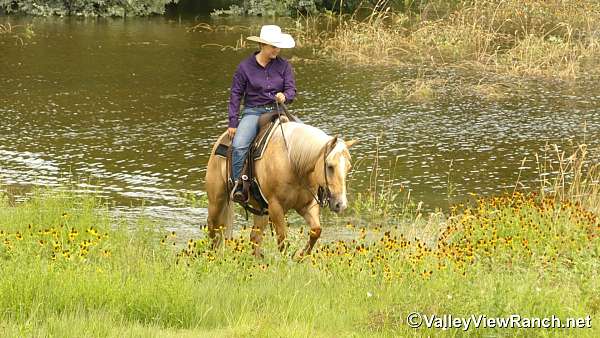 trail-paint-horse