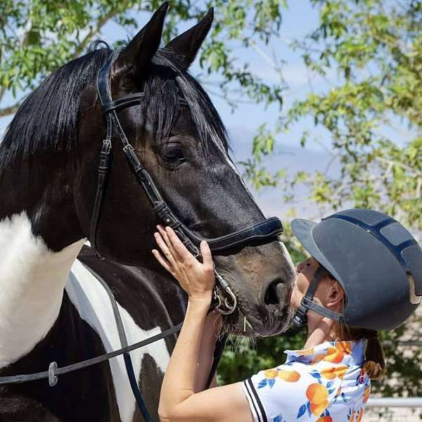 color-oldenburg-horse