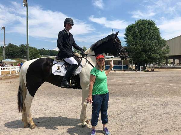exceptional-oldenburg-horse