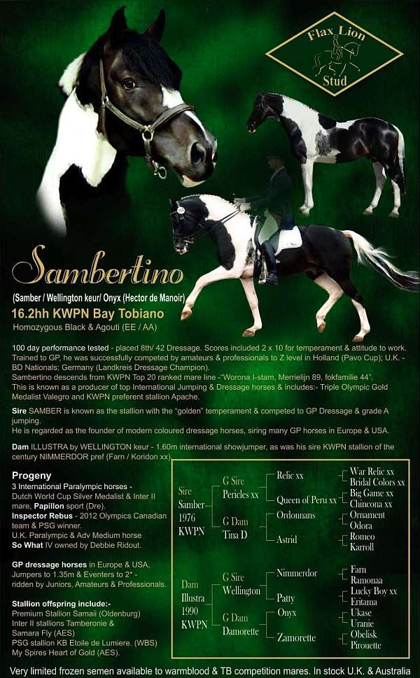 pattern-oldenburg-horse