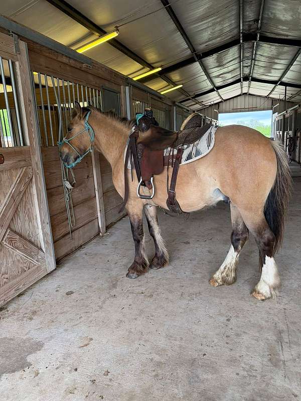 dun-ri-horse