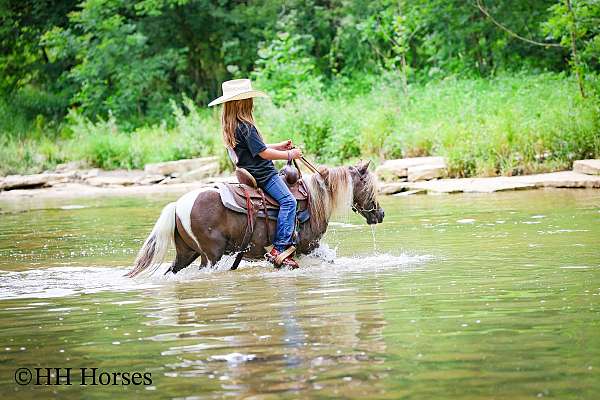 athletic-miniature-pony