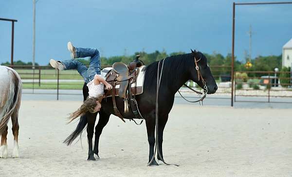 jumping-quarter-pony