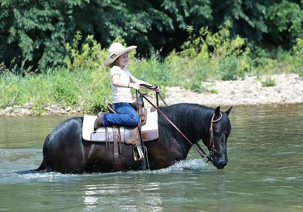 ranch-quarter-pony