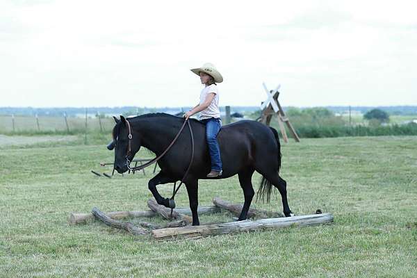 ridden-western-quarter-pony