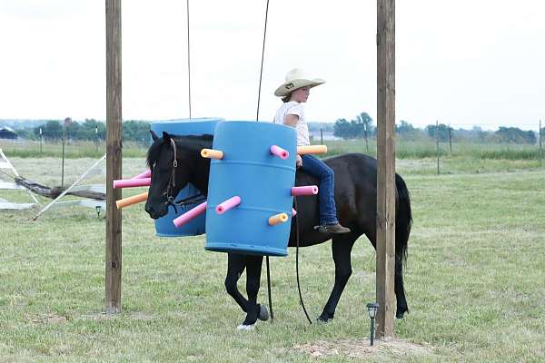 show-jumping-quarter-pony