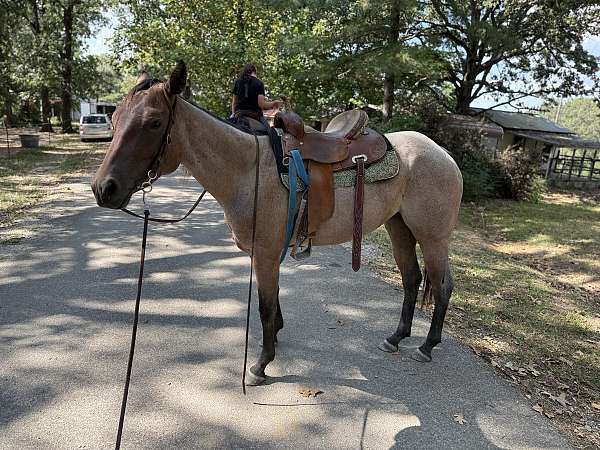 barrel-racing-quarter-horse