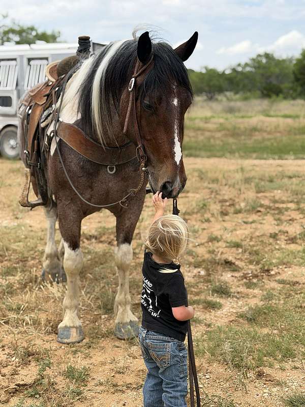 cross-draft-horse