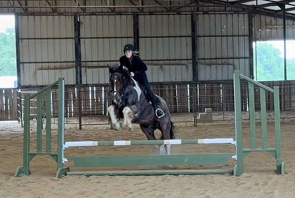 kid-safe-draft-horse