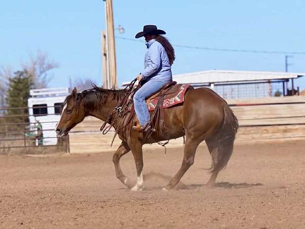 youth-quarter-horse