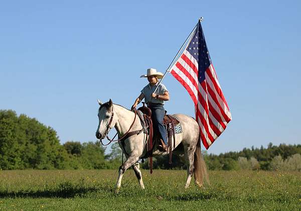 flashy-quarter-horse