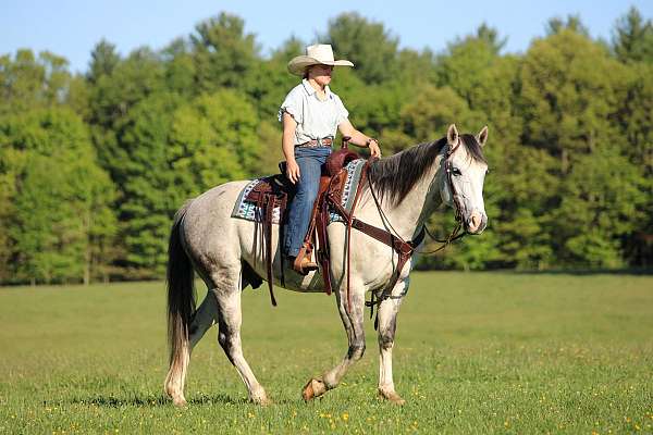 ranch-versatility-quarter-horse