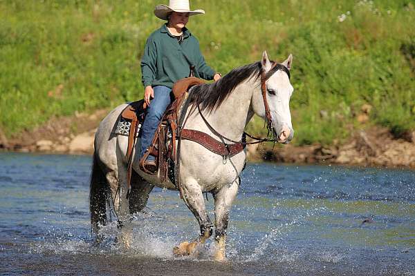ranch-work-quarter-horse