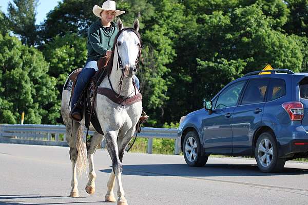 roping-quarter-horse