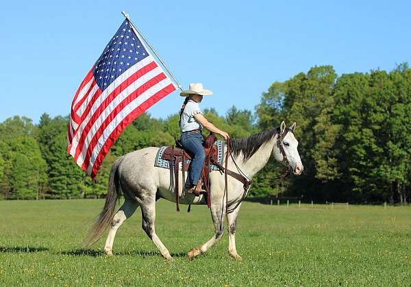 trail-riding-quarter-horse