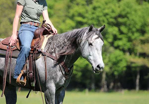 roping-quarter-horse