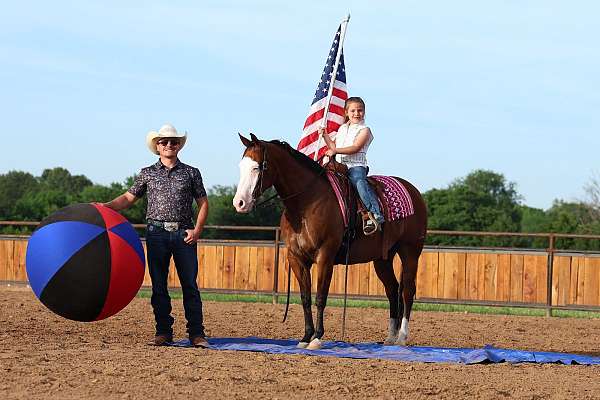 husband-safe-quarter-horse