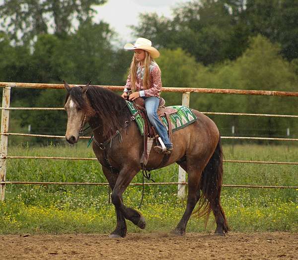 cross-draft-horse