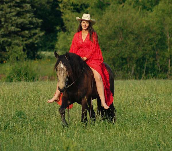 kid-safe-draft-horse