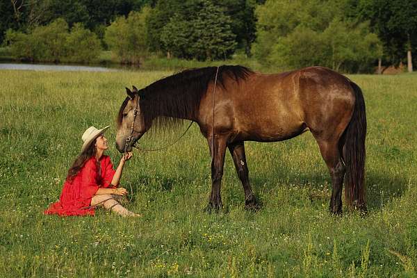 lesson-draft-horse