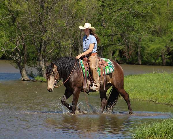 ranch-draft-horse