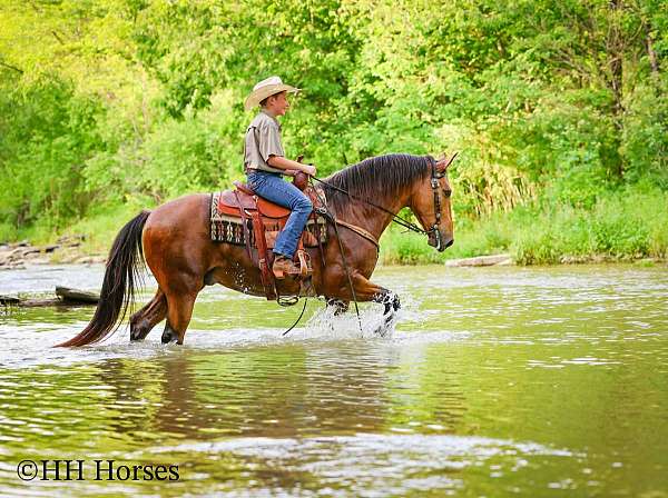 buckskin-single-footing