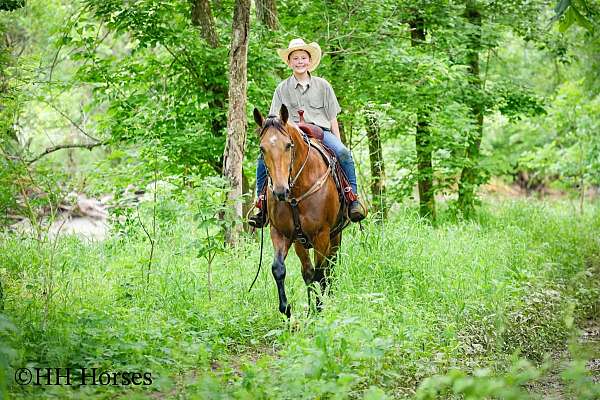 trail-single-footing-horse