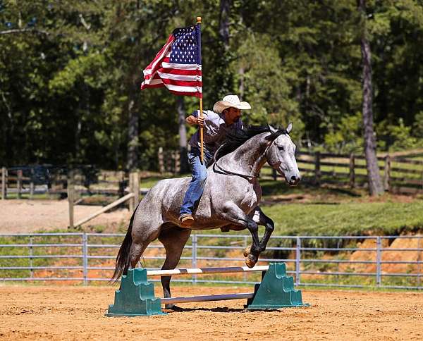 ranch-quarter-horse