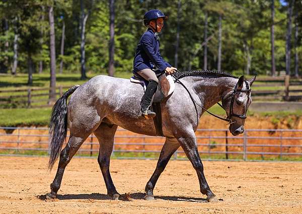 ranch-versatility-quarter-horse