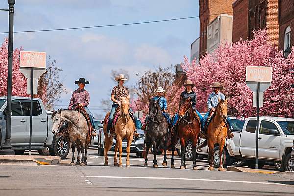 ranch-work-quarter-horse