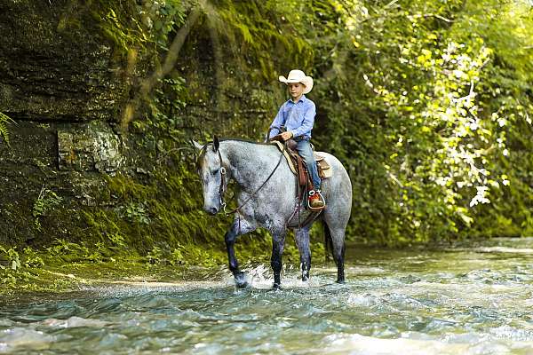 ridden-western-quarter-horse