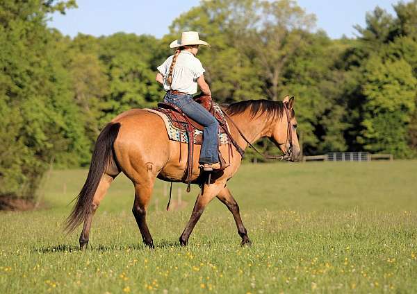 athletic-quarter-horse