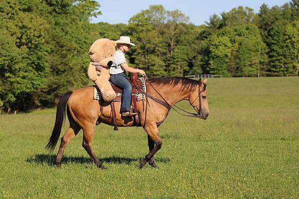 flashy-quarter-horse