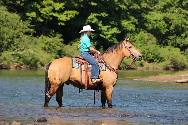 ranch-versatility-quarter-horse