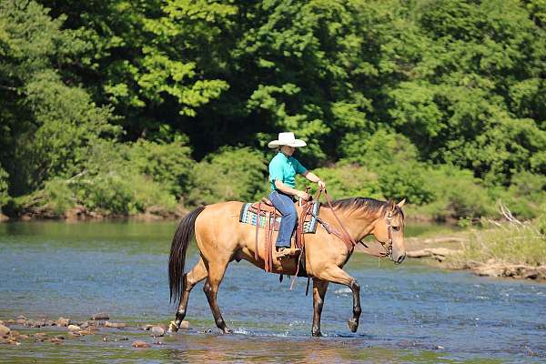 ranch-work-quarter-horse