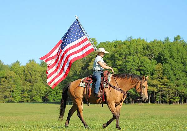 western-riding-quarter-horse