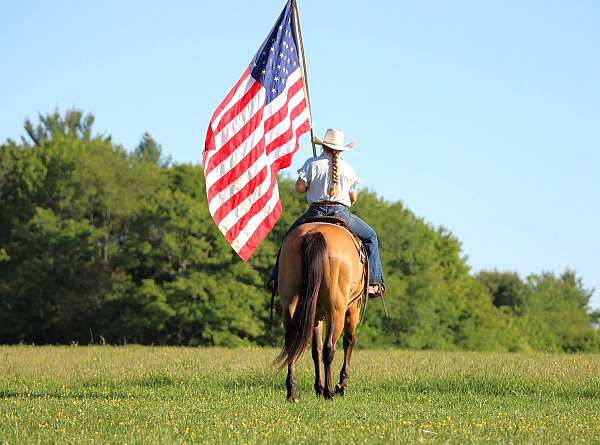 youth-quarter-horse