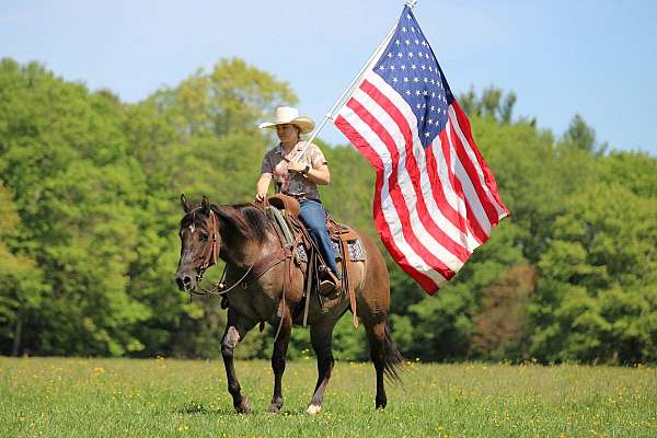 athletic-quarter-horse