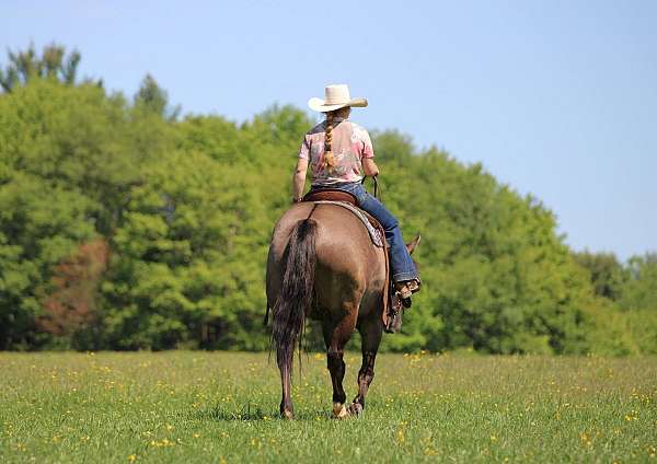 husband-safe-quarter-horse
