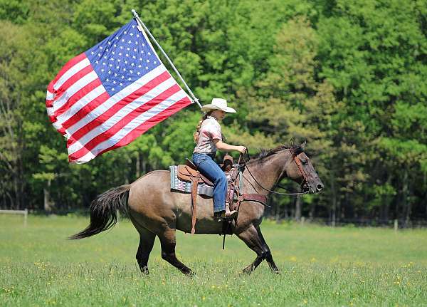 performance-quarter-horse
